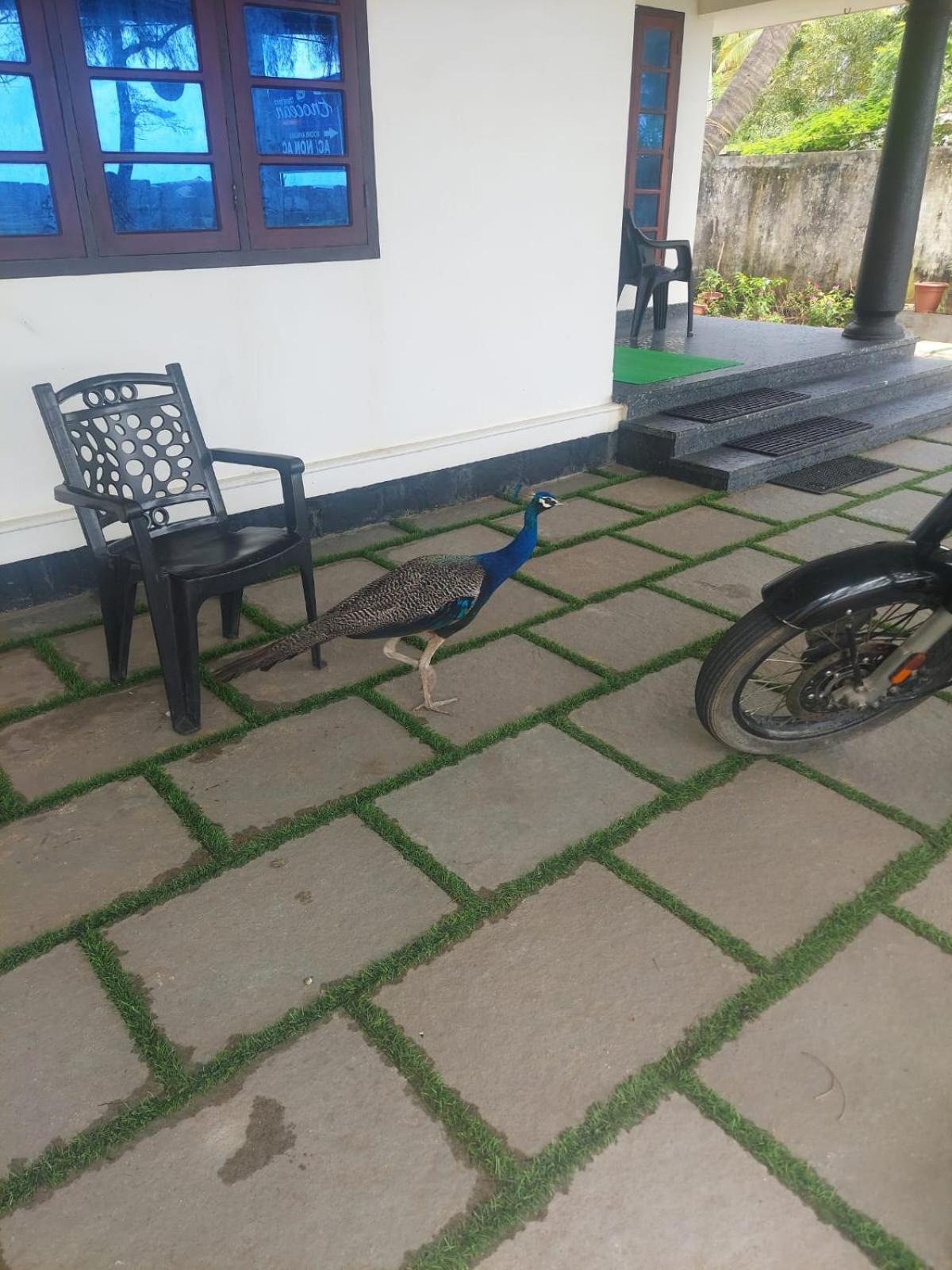 Enocean Homestay Cseráj-part Kültér fotó